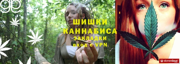 марки lsd Бородино