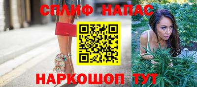 гашик Можга
