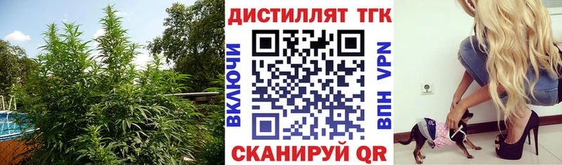 ТГК концентрат  закладки  Великий Устюг 
