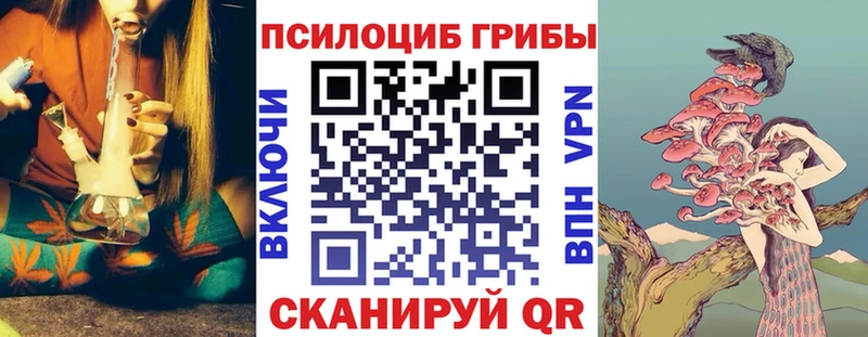 ссылка на мегу как войти Великий Устюг Псилоцибиновые грибы MAGIC MUSHROOMS