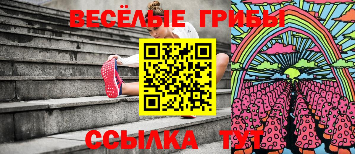 Псилоцибиновые грибы прущие грибы Великий Устюг